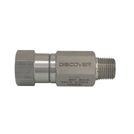 Discover 1/4 in. Stainless Steel Inline Check Valve 101134