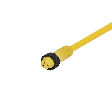 Ifm Female cordset W80610