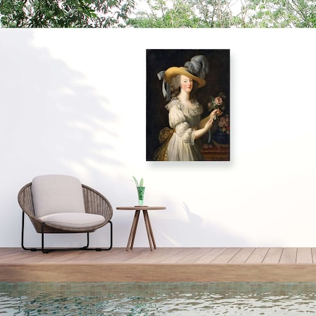 Trademark Fine Art Outdoor Canvas Art Marcus Jules Marie Antoinette in a Chemise Dress Wall Art for Patio, or Garden GRL02300-OC1419WR