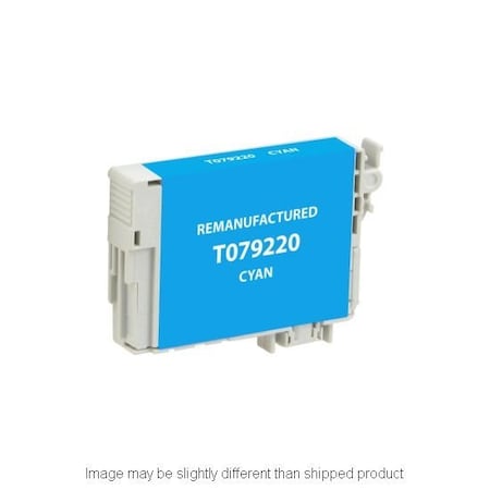 Epson Replacement, CYAN Compatible InkJet Ink, 810 page yield T079220