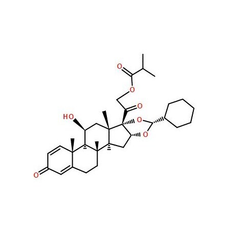 Ak Scientific Ciclesonide (1g), CAS 126544-47-6 O945-1g