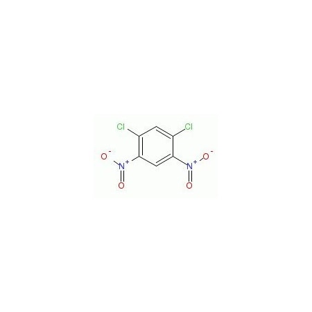 Ak Scientific 1, 3-Dichloro-4, 6-dinitrobenzene (25g), CAS 3698-83-7 W5815-25g
