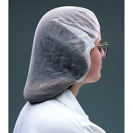Workhorse Single Use Honeycomb Weave Hairnet, 100PK E5420477