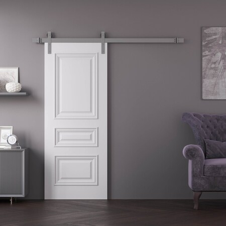 Sartodoors Barn Door 36x96 inches White Solid Core Modern Interior ROYAL9833BD-S-EMAL-3696