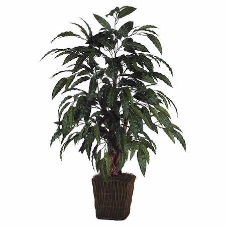 Dare2Decor Mango in Square Willow Container Everyday Bush - 4 ft. DA581207