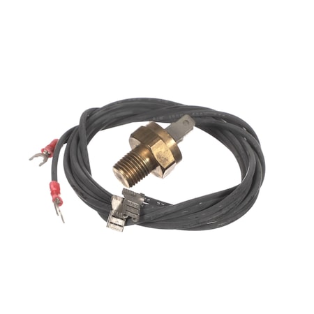 Raypak Hi Limit 600893B