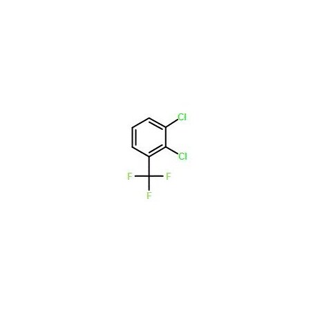 Ak Scientific 2, 3-Dichlorobenzotrifluoride (100g), CAS 54773-19-2 U374-100g