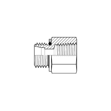 Adaptall MALE DIN (LIGHT DUTY) COMES W/ WASHER & O-RING X FEMALE NPT L15 3/8 in 9635S-22-L15-06