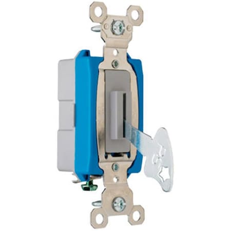 Nextgen PS15AC1L 15A Grounding Heavy Duty Keyed Single Pole Toggle Switch, Gray NE569189