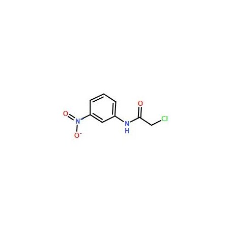 Ak Scientific 2-Chloro-N-(3-nitrophenyl)acetamide (5g), CAS 10147-71-4 7356AC-5g