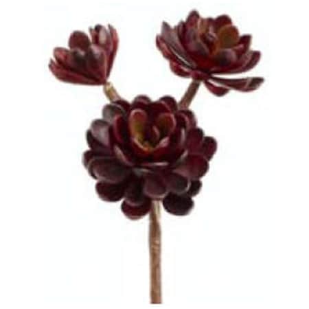Allstate 10 in. Burgundy Hen-And-Chicks Stem X3-, 12PK CM4125-BU
