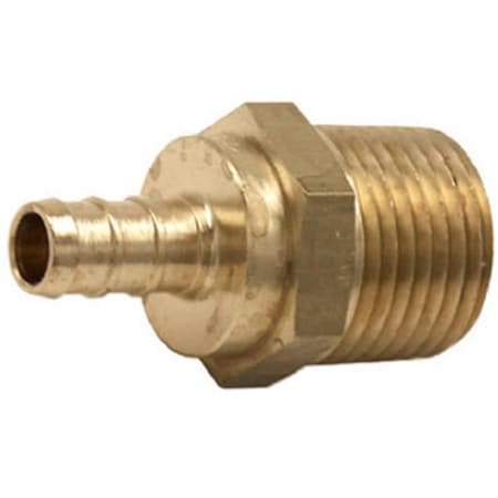 Homestead 0.37 x 0.5 in. Brass Barb Adapter HO575953