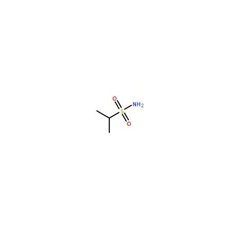 Ak Scientific Propane-2-sulfonamide (1g), CAS 81363-76-0 2634AC-1g