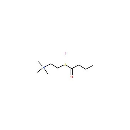 Ak Scientific S-Butyrylthiocholine iodide (5g), CAS 1866-16-6 X4989-5g