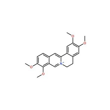 Ak Scientific Palmatine (1g), CAS 3486-67-7 V1557-1g