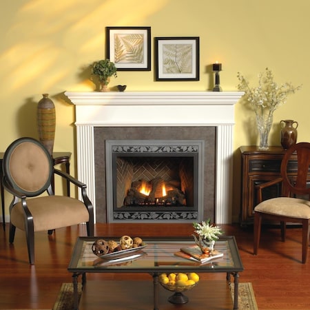 Empire 42 in. Natural Gas Millivolt Fireplace DVP42FP30N