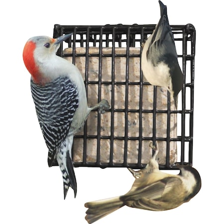 Suet Plus Variety Suet, 6PK 226