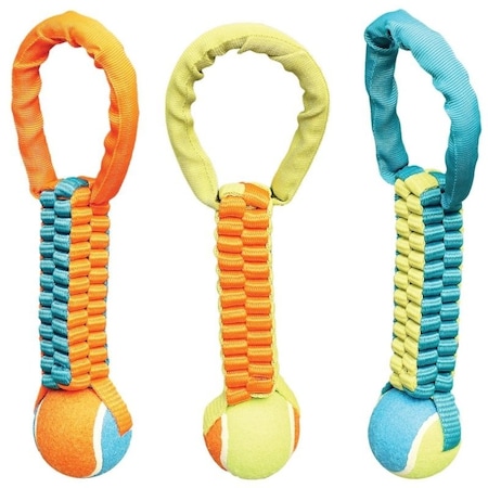 Chomper Dog Toy, Nylon WB15525
