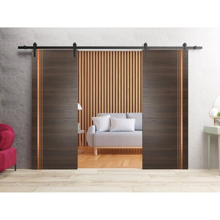 Sartodoors Sturdy Double Barn Door with Hardware Planum 1010 48x80 (2* 24x80) Solid Core Modern Interior PLANUM1010DB-CA-48