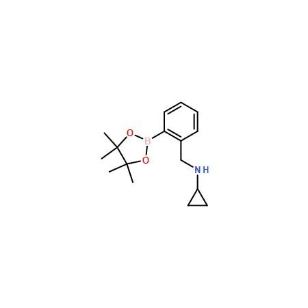 Ak Scientific 2-(N-Cyclopropylaminomethyl)phenylboronic acid pinacol ester (1g), CAS 1150271-52-5 Z7627-1g