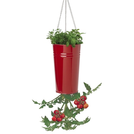 Houston International Trading Enameled Galvanized Upsidedown Tomato, Pepper Hanging Planter - Red 8398E XR