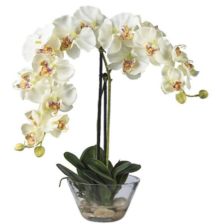 C. Alan Phalaenopsis with Glass Vase 4643-WH