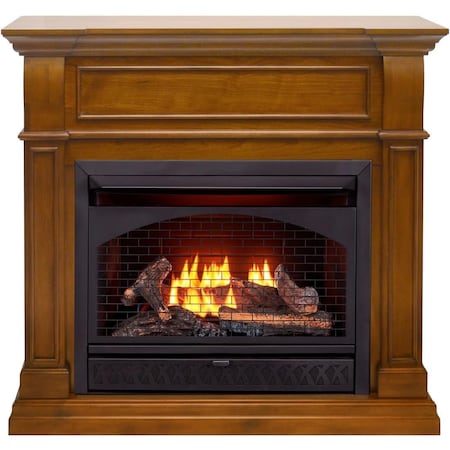Procom Heating Dual Fuel Ventless Gas Fireplace, 26,000 BTU, T-Stat Control, Apple Spice Finish FBNSD28T-J-AS