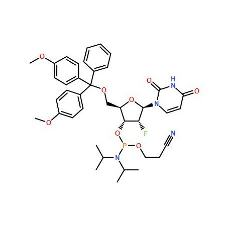 Ak Scientific DMT-2′Fluoro-dU Phosphoramidite (1g), CAS 146954-75-8 7292AA-1g