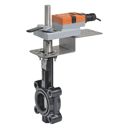 Belimo Butterfly Valve Assembly F650HD+AMB24-3-X1
