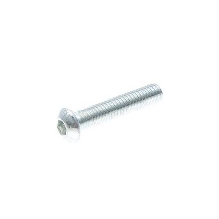 Yale REPLACEMENT SCREW, HEX HEAD 582019596
