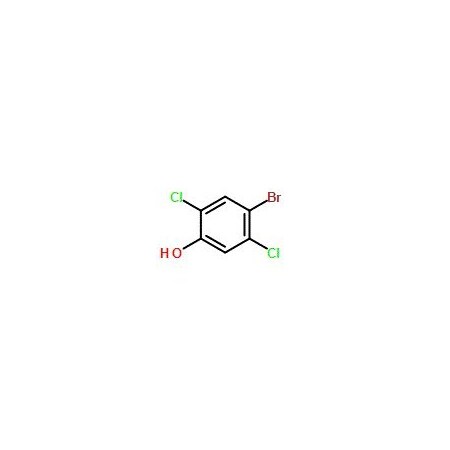Ak Scientific 4-Bromo-2, 5-dichlorophenol (500g), CAS 1940-42-7 R307-500g