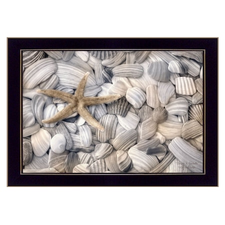 Homeroots Starfish and Seashell 1 Black Framed Print Wall Art 415423