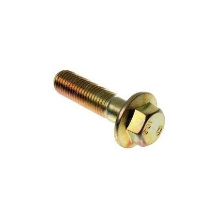 Raymond REPLACEMENT SCREW 1169616-032