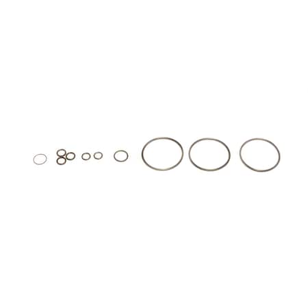 Raypak Adaptor and Gas Valve O-Rings 012440F