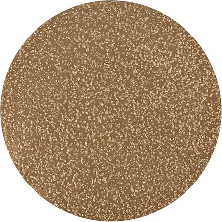 Tapetech 24 Grit Tungsten Carbide Sanding Disc (2) EDISCTC24