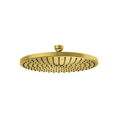 Axor ShowerSolutions Showerhead 240 1-Jet Powder Rain, 1.75 GPM in Brushed Gold Optic 28614251