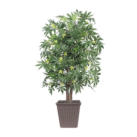 Vickerman 4 ft. Japanese Maple Square Container Tree, Brown TBU1840-SB