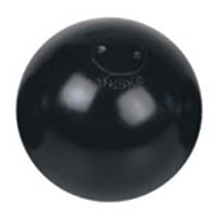 Amber Sporting Goods Super Economy Shotput 16lb IS-16
