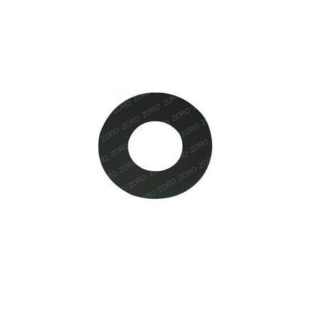 Raymond REPLACEMENT WASHER 828-003-701