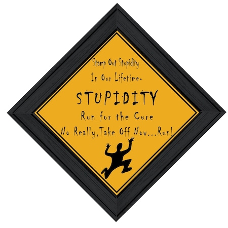 Homeroots Stupidity Black Framed Print Wall Art 406578