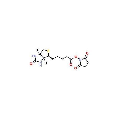 Ak Scientific (+)-Biotin N-hydroxysuccinimide ester (25g), CAS 35013-72-0 B433-25g