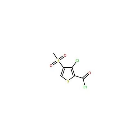 Ak Scientific 3-Chloro-4-(methylsulfonyl)thiophene-2-carbonyl chloride (1g), CAS 175201-87-3 Y7921-1g