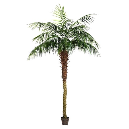 Dare2Decor 7 ft. Potted Pheonix Palm Tree 899-Leaves DA2676118