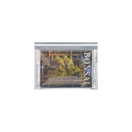 Bubblefast 250-9 1/2 x 12 3/4'' Translucent Silver Glamour Mailers, 250PK BFGCV0912