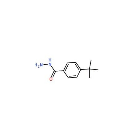 Ak Scientific 4-tert-Butylbenzhydrazide (100g), CAS 43100-38-5 P229-100g