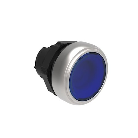 Lovato Blue Illuminated Flush Push-Bn, 10PK LPCBL106