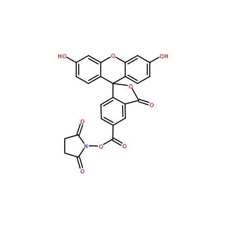 Ak Scientific 5-FAM, SE (250mg), CAS 92557-80-7 3330AH-250mg