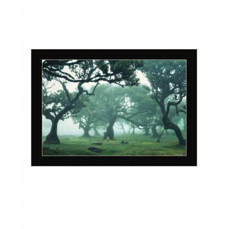 Homeroots Enchanted Forest II 1 Black Framed Print Wall Art 416190