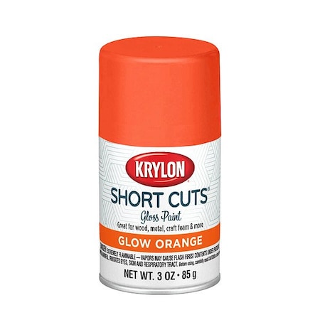 Krylon Spray Paints - Craft & Hobby Spray Paint KSCS050