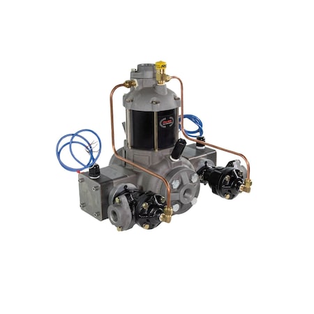 Fill-Rite Positive Displacement Flowmeter, 3/4 inSz TS06AS84AUPXXT9N